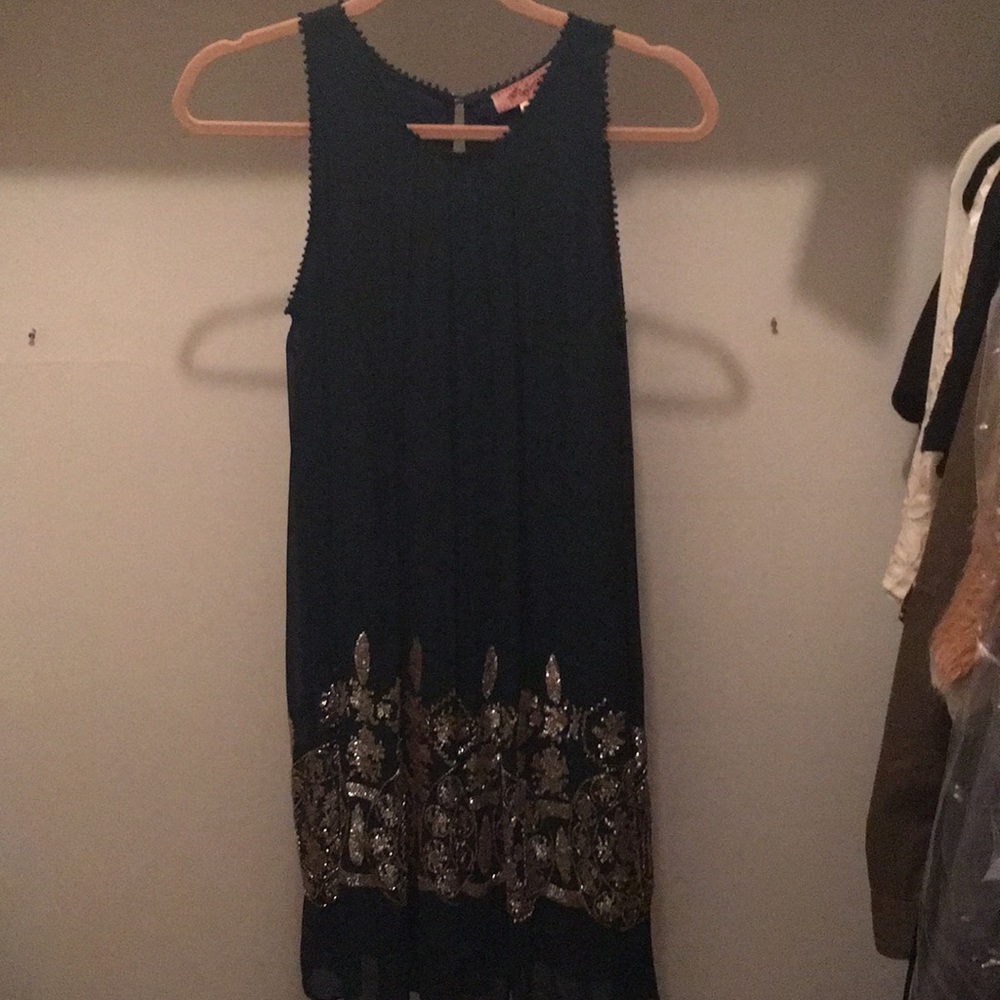Anthropologie NWT Sequin embroidered dress